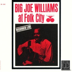 Big Joe Williams - At Folk City